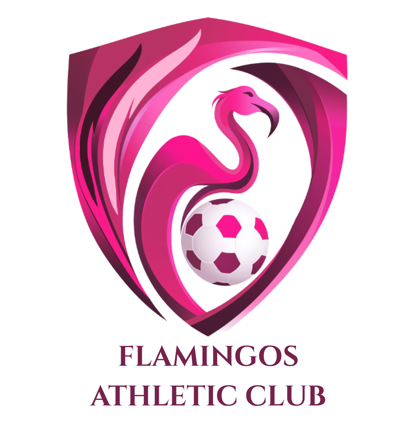 Flamingos Logo